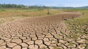 Anticipating The Widespread Of Drought