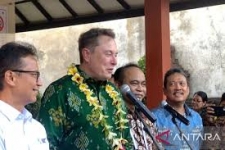 Luhut invite Elon Musk à contribuer à la réhabilitation des mangroves