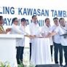 Präsident Jokowi eröffnete die Modellierung des salzhaltigen Tilapia-Anbaus in Karawang