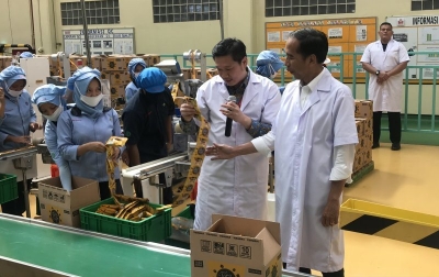 总统对印尼产品已渗透到100个国家感到高兴